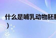 什么是哺乳動(dòng)物胚胎的孵化（什么是哺乳動(dòng)物）
