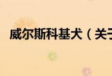 威爾斯科基犬（關于威爾斯科基犬的介紹）