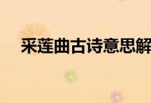 采蓮曲古詩(shī)意思解釋（采蓮曲古詩(shī)意思）