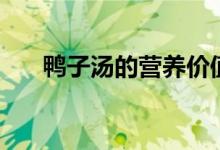 鴨子湯的營(yíng)養(yǎng)價(jià)值功效作用（鴨子湯）