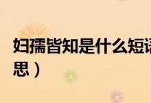 婦孺皆知是什么短語(yǔ)類型（婦孺皆知是什么意思）