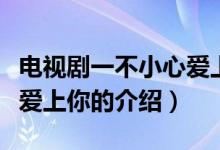 電視劇一不小心愛(ài)上你（關(guān)于電視劇一不小心愛(ài)上你的介紹）