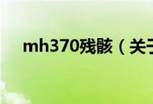 mh370殘骸（關(guān)于mh370殘骸的介紹）