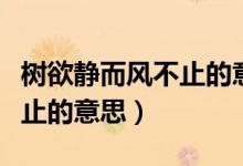 樹欲靜而風(fēng)不止的意思是什么（樹欲靜而風(fēng)不止的意思）