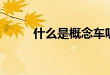 什么是概念車呢（什么是概念車）