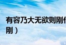 有容乃大無欲則剛什么意思（有容乃大無欲則剛）