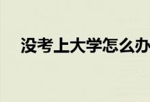 沒考上大學怎么辦（有幾種方式上大學）