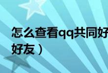 怎么查看qq共同好友是誰（怎么查看qq共同好友）