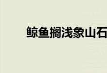 鯨魚擱淺象山石浦海域（鯨魚擱淺）