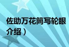 佐助萬(wàn)花筒寫(xiě)輪眼（關(guān)于佐助萬(wàn)花筒寫(xiě)輪眼的介紹）