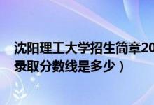 沈陽(yáng)理工大學(xué)招生簡(jiǎn)章2021分?jǐn)?shù)（2021沈陽(yáng)理工大學(xué)各省錄取分?jǐn)?shù)線是多少）