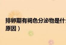 排卵期有褐色分泌物是什么?。ㄅ怕哑谟泻稚置谖锸鞘裁丛颍?class=