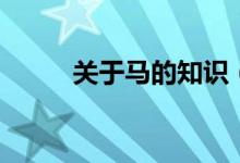 關(guān)于馬的知識(shí)（關(guān)于馬的手抄報(bào)）