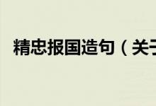 精忠報(bào)國造句（關(guān)于精忠報(bào)國造句的介紹）