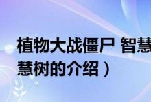 植物大戰(zhàn)僵尸 智慧樹（關(guān)于植物大戰(zhàn)僵尸 智慧樹的介紹）