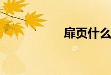 扉頁(yè)什么意思（扉頁(yè)）