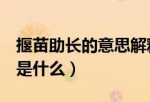 揠苗助長的意思解釋2年級(jí)（揠苗助長的意思是什么）