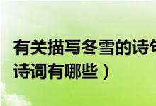 有關(guān)描寫(xiě)冬雪的詩(shī)句有哪些（描寫(xiě)冬雪的優(yōu)美詩(shī)詞有哪些）