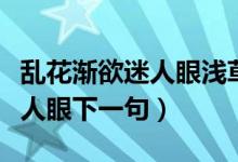 亂花漸欲迷人眼淺草沒馬蹄含義（亂花漸欲迷人眼下一句）