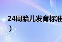 24周胎兒發(fā)育標(biāo)準(zhǔn)體重（24周胎兒發(fā)育標(biāo)準(zhǔn)）