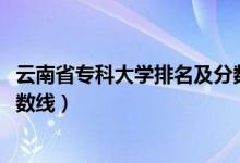 云南省專科大學(xué)排名及分?jǐn)?shù)線（2022云南?？拼髮W(xué)排名及分?jǐn)?shù)線）