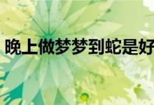 晚上做夢夢到蛇是好是壞（晚上做夢夢到蛇）