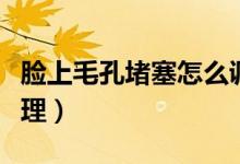 臉上毛孔堵塞怎么調理（臉上毛孔堵塞怎么清理）