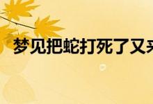 夢見把蛇打死了又來了（夢見把蛇打死了）