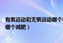 有氧運(yùn)動(dòng)和無(wú)氧運(yùn)動(dòng)哪個(gè)減肥更合適（有氧運(yùn)動(dòng)和無(wú)氧運(yùn)動(dòng)哪個(gè)減肥）