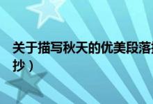關于描寫秋天的優(yōu)美段落摘抄（關于描寫秋天的優(yōu)美段落摘抄）