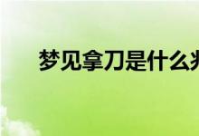 夢(mèng)見(jiàn)拿刀是什么兆頭（夢(mèng)見(jiàn)拿刀殺人）