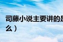 司藤小說(shuō)主要講的是啥（司藤小說(shuō)主要講了什么）