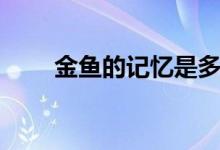 金魚的記憶是多少秒（金魚的記憶）