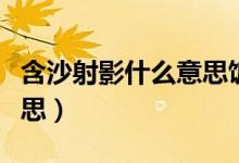 含沙射影什么意思飯圈用語（含沙射影什么意思）