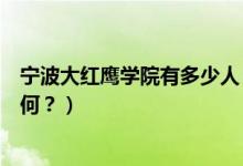 寧波大紅鷹學(xué)院有多少人（寧波大紅鷹學(xué)院怎么樣？評(píng)價(jià)如何？）