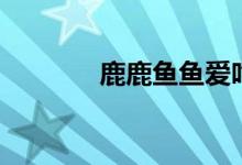 鹿鹿魚魚愛吃肉（鹿鹿魚魚）