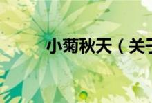 小菊秋天（關(guān)于小菊秋天的介紹）