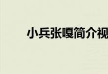 小兵張嘎簡(jiǎn)介視頻（小兵張嘎簡(jiǎn)介）