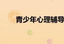 青少年心理輔導(dǎo)（青少年心理輔導(dǎo)）
