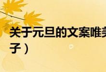 關(guān)于元旦的文案唯美（適合朋友圈發(fā)的簡(jiǎn)短句子）