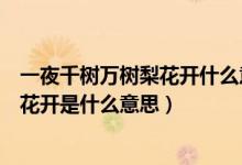 一夜千樹萬樹梨花開什么意思（忽如一夜春風來千樹萬樹梨花開是什么意思）