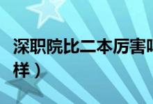 深職院比二本厲害嗎（深圳職業(yè)技術(shù)學院怎么樣）