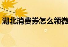 湖北消費券怎么領(lǐng)微信（湖北消費券怎么領(lǐng)）