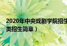 2020年中央戲劇學(xué)院招生計(jì)劃（2020年中央戲劇學(xué)院藝術(shù)類招生簡章）