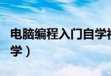 電腦編程入門自學(xué)視頻教程（電腦編程入門自學(xué)）