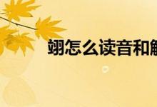 翊怎么讀音和解釋（翊怎么讀音）