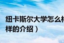 紐卡斯爾大學(xué)怎么樣（關(guān)于紐卡斯爾大學(xué)怎么樣的介紹）