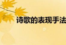 詩歌的表現(xiàn)手法（詩歌的表現(xiàn)手法）