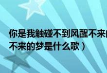 你是我觸碰不到風(fēng)醒不來(lái)的夢(mèng)文案（你是我觸碰不到的風(fēng)醒不來(lái)的夢(mèng)是什么歌）