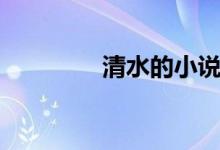 清水的小說(shuō)（清水的故事）